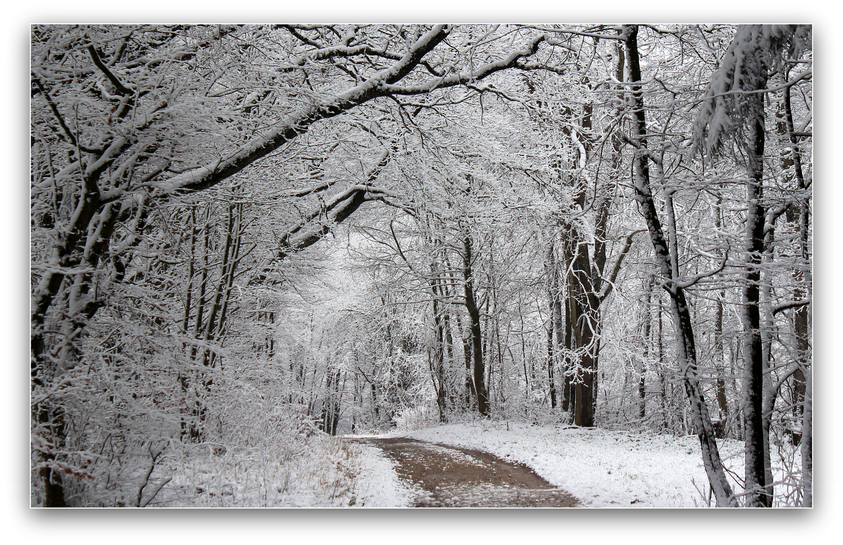 Na... geht doch! Winter!