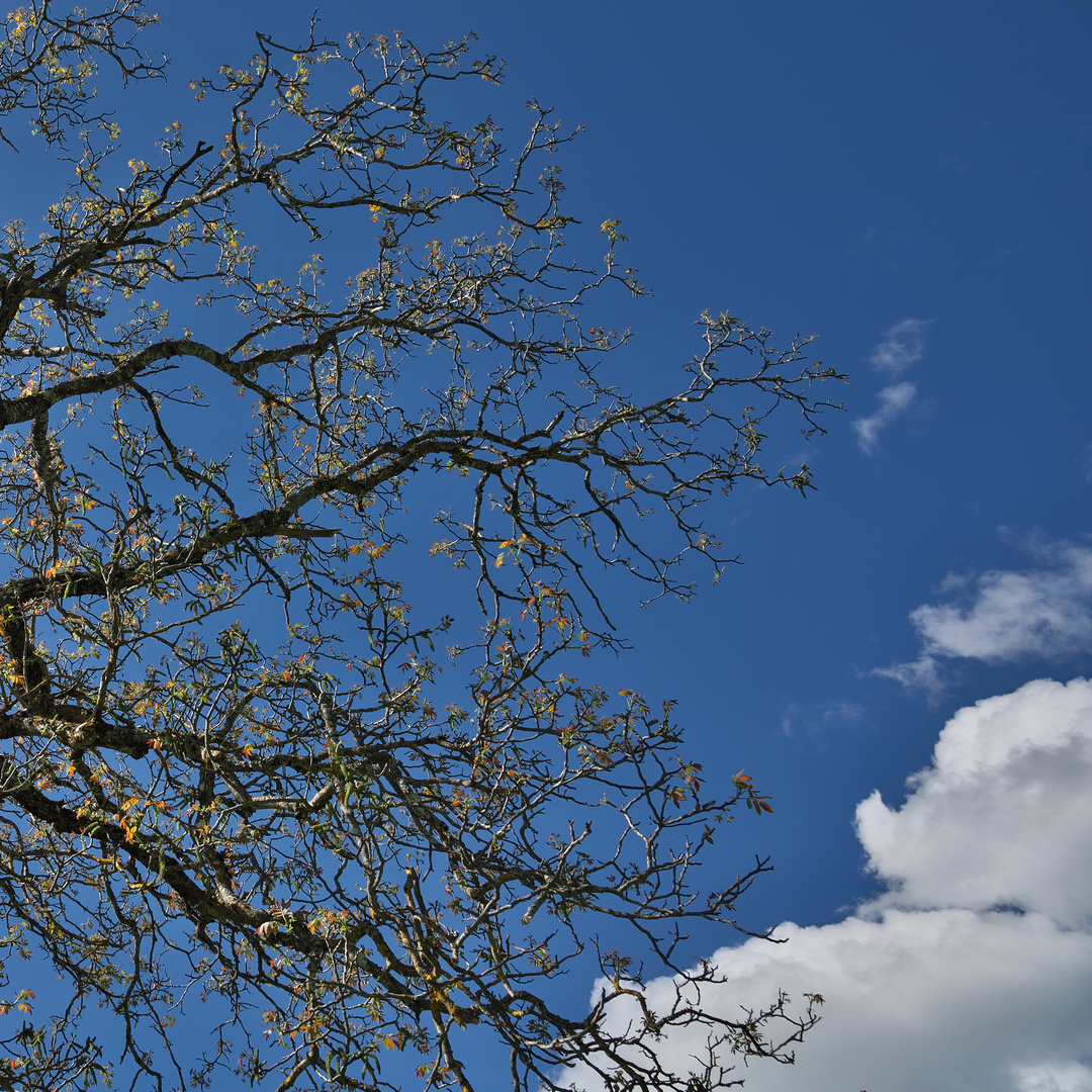 Na gut: Dann Frühling!