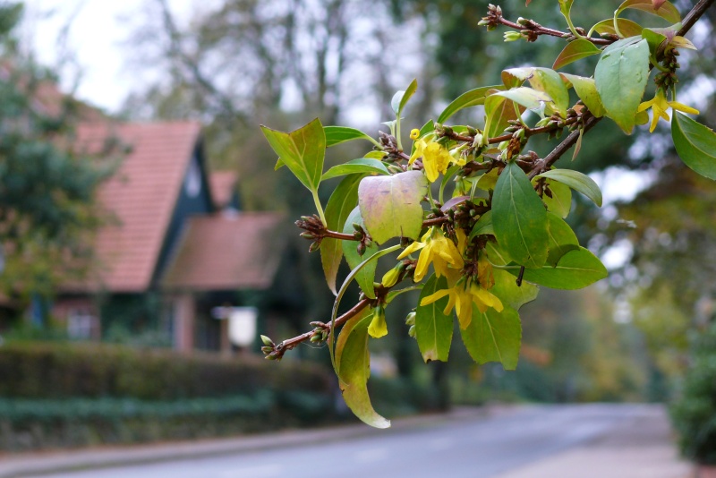 Na- ist denn schon Frühling?