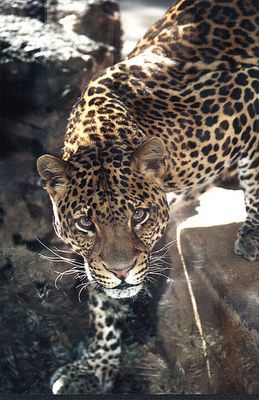 Na komm mal näher...