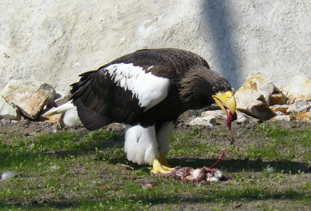 Na lecker...