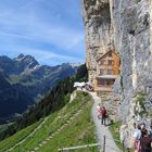 Na, Lust auf einen Appenzeller Alpenbitter?