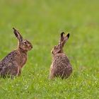 Na, Ostern gut überstanden?