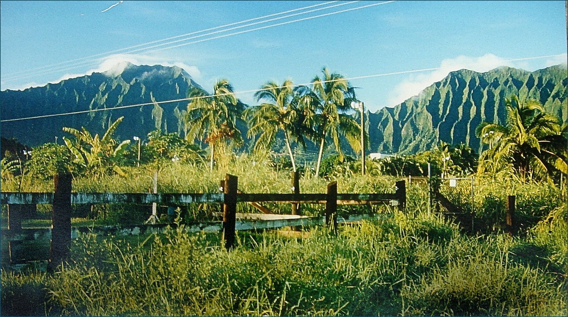 Na Pali Range - windward - Oahu - Hawaii