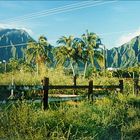 Na Pali Range - windward - Oahu - Hawaii