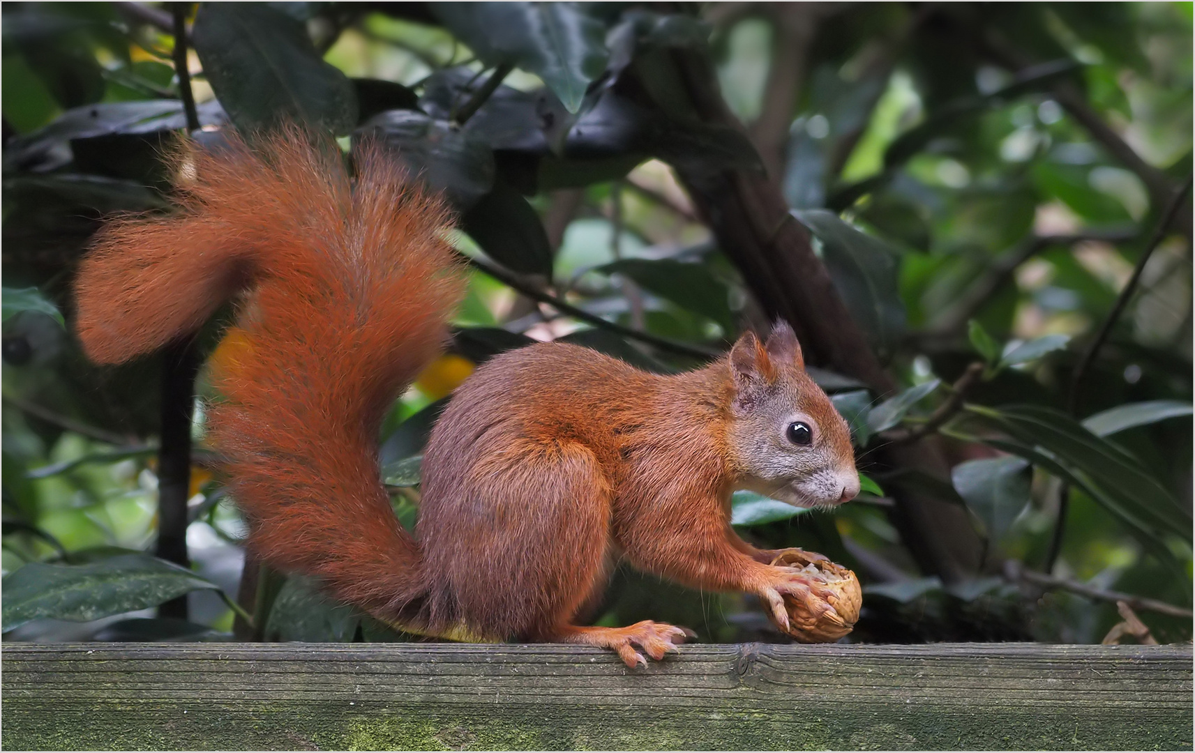 Na schmeckt`s Roter.....