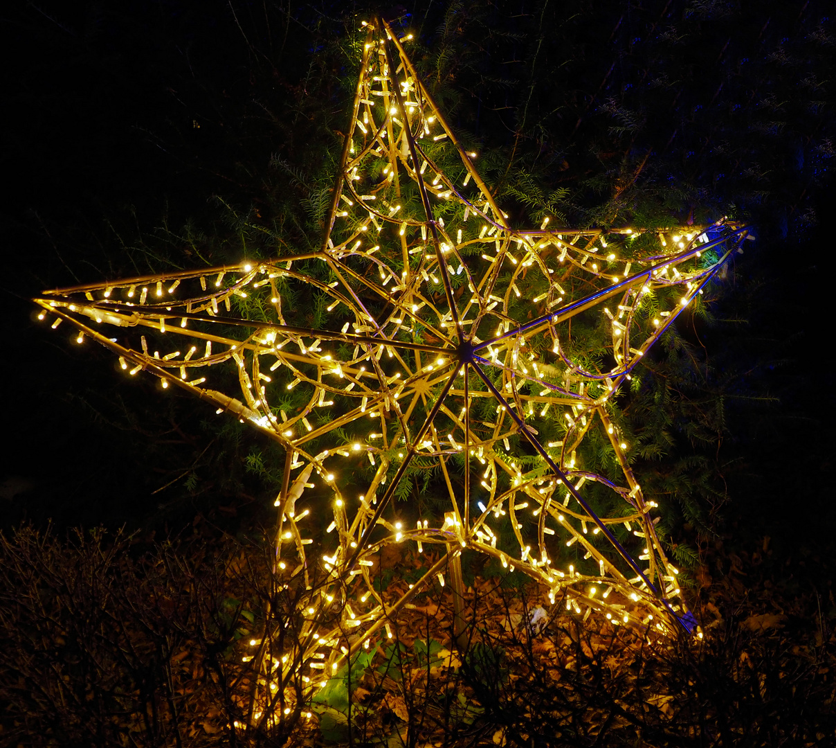 Na seit ihr in Weihnachtsstimmung? 