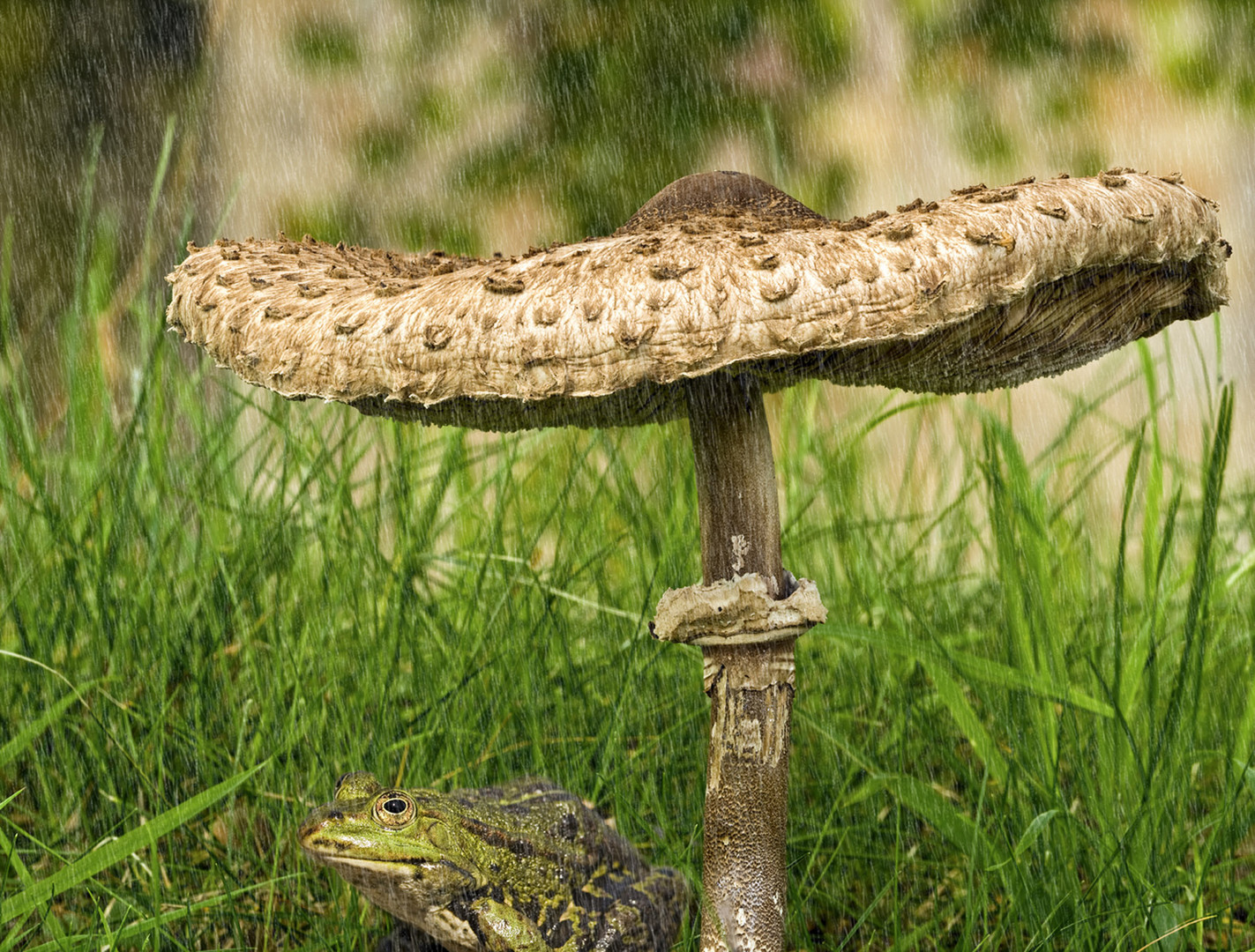 Na so richtig hilft der Regenschirm auch nicht