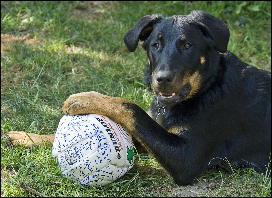 na, Spielchen gefällig?