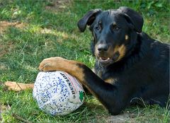 na, Spielchen gefällig?