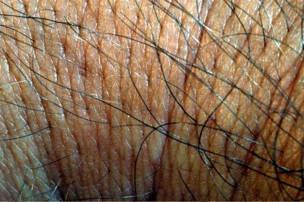 ....na was ist das wohl?....