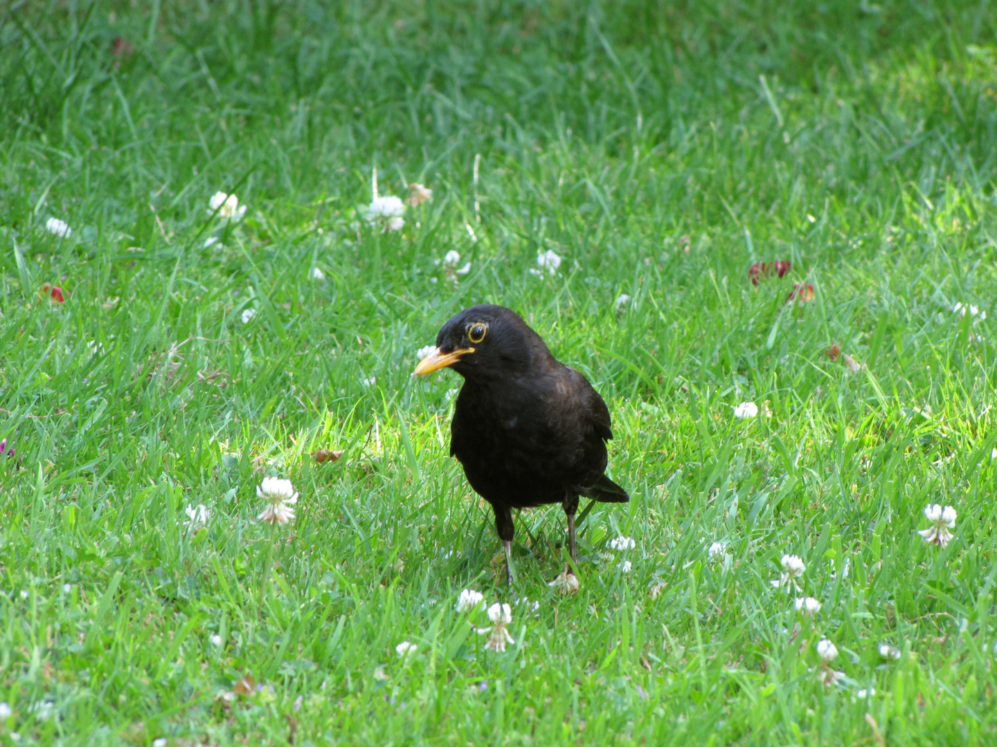 "Na? Was willst du von mir??"