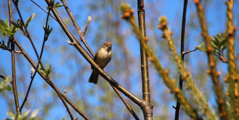 Na, wer bist du denn?