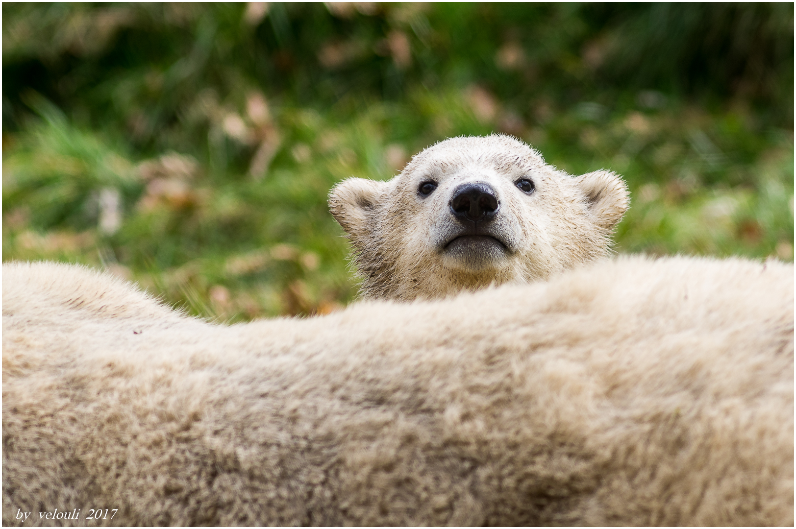 na, wer guckt denn da?