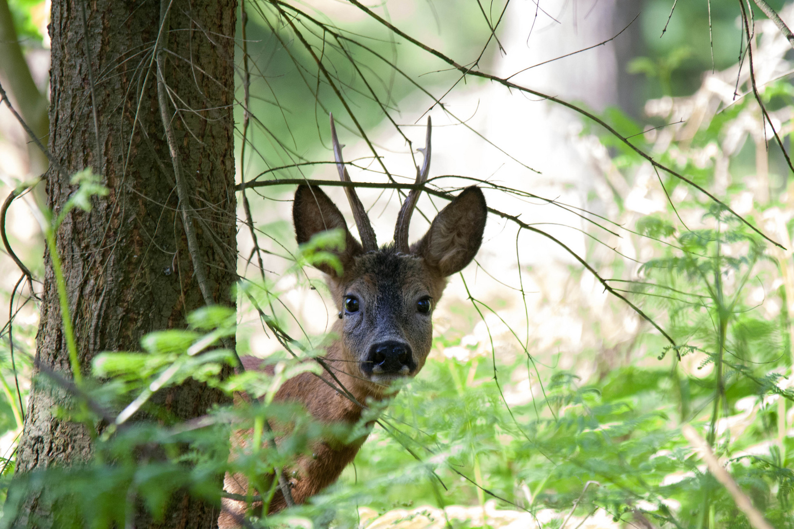 Na, wer guckt denn da?