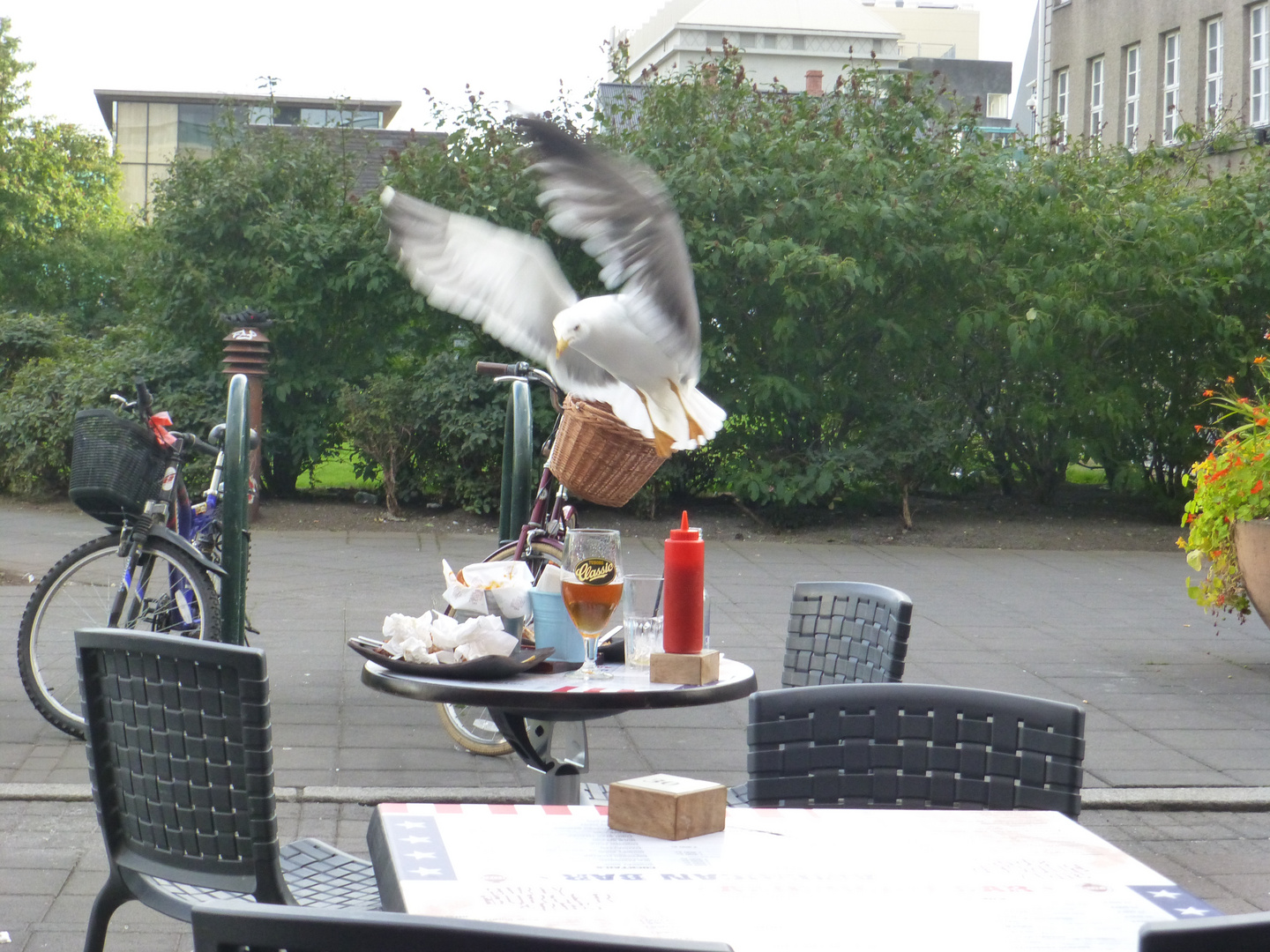 Na , wer kommt den da zum Essen 