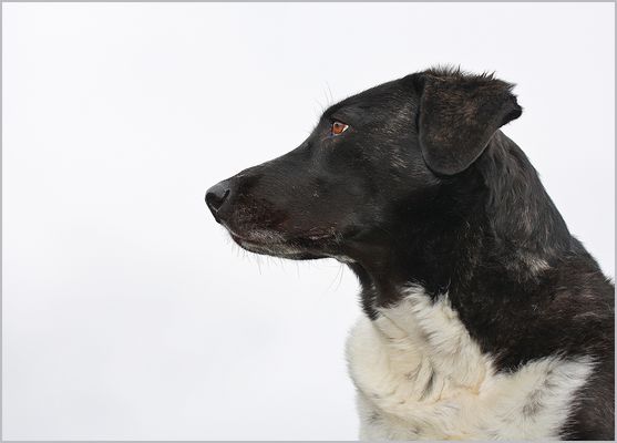 ...Na wo isser denn...