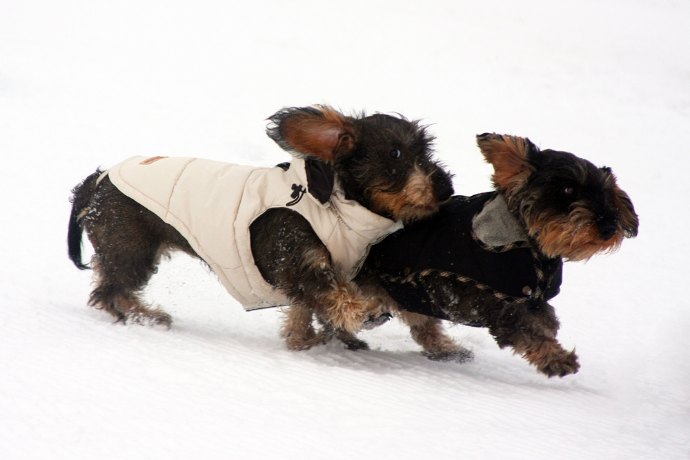 Na Zacki, wie gefällt Dir unsere neue Wintermode ??