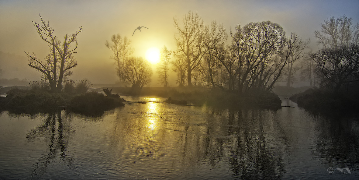 Naab Foto & Bild landschaft, bach, fluss & see, flüsse und kanäle