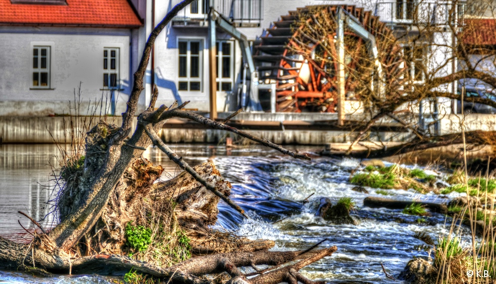 Naab Kallmünz, lebendiges Treibgut HDR