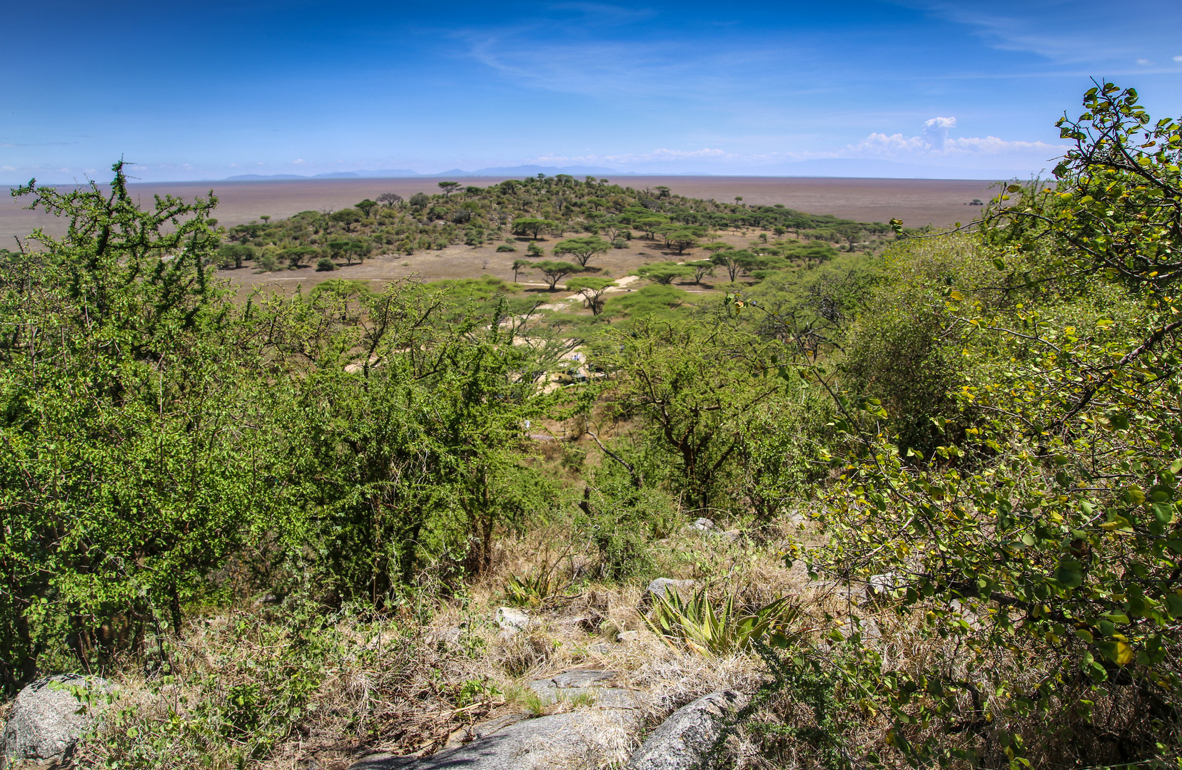 Naabi Hill