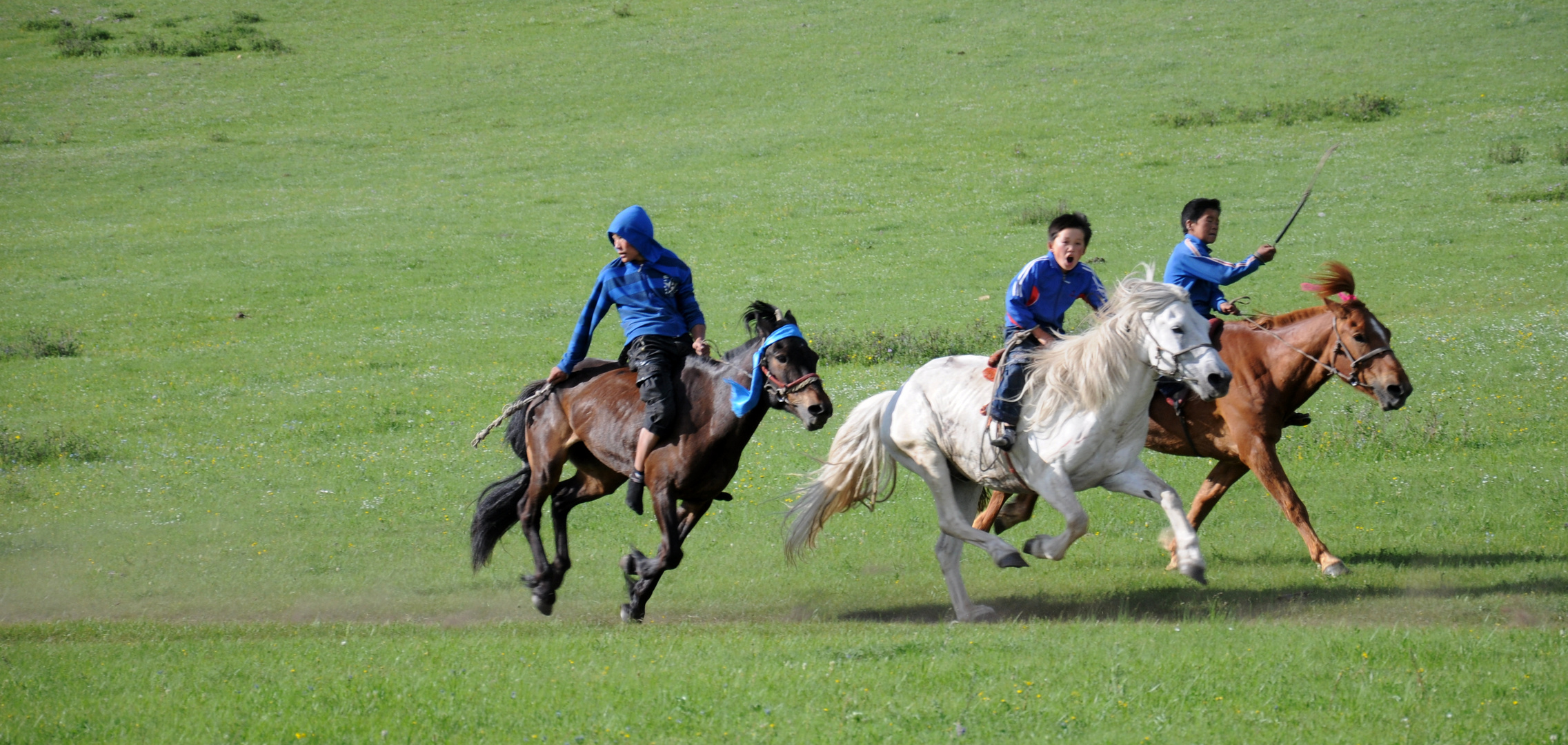 Naadam