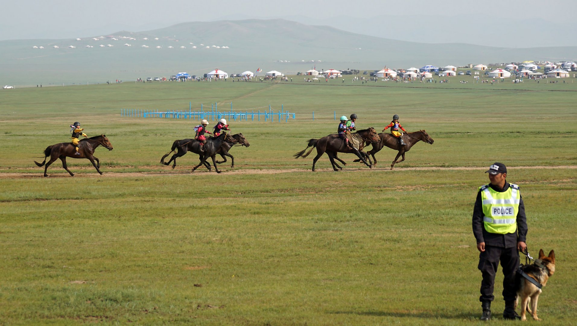 Naadam: Pferderennen