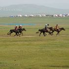 Naadam: Pferderennen