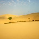 Nabib Desert