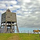 NABU - Vogelbeobachtungsturm......