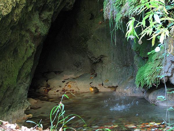 Nacedero del Urederra (Tierra Estella-Navarra)