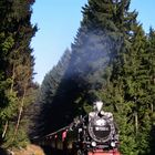 Nach 13 Jahren mal wieder Harz IV