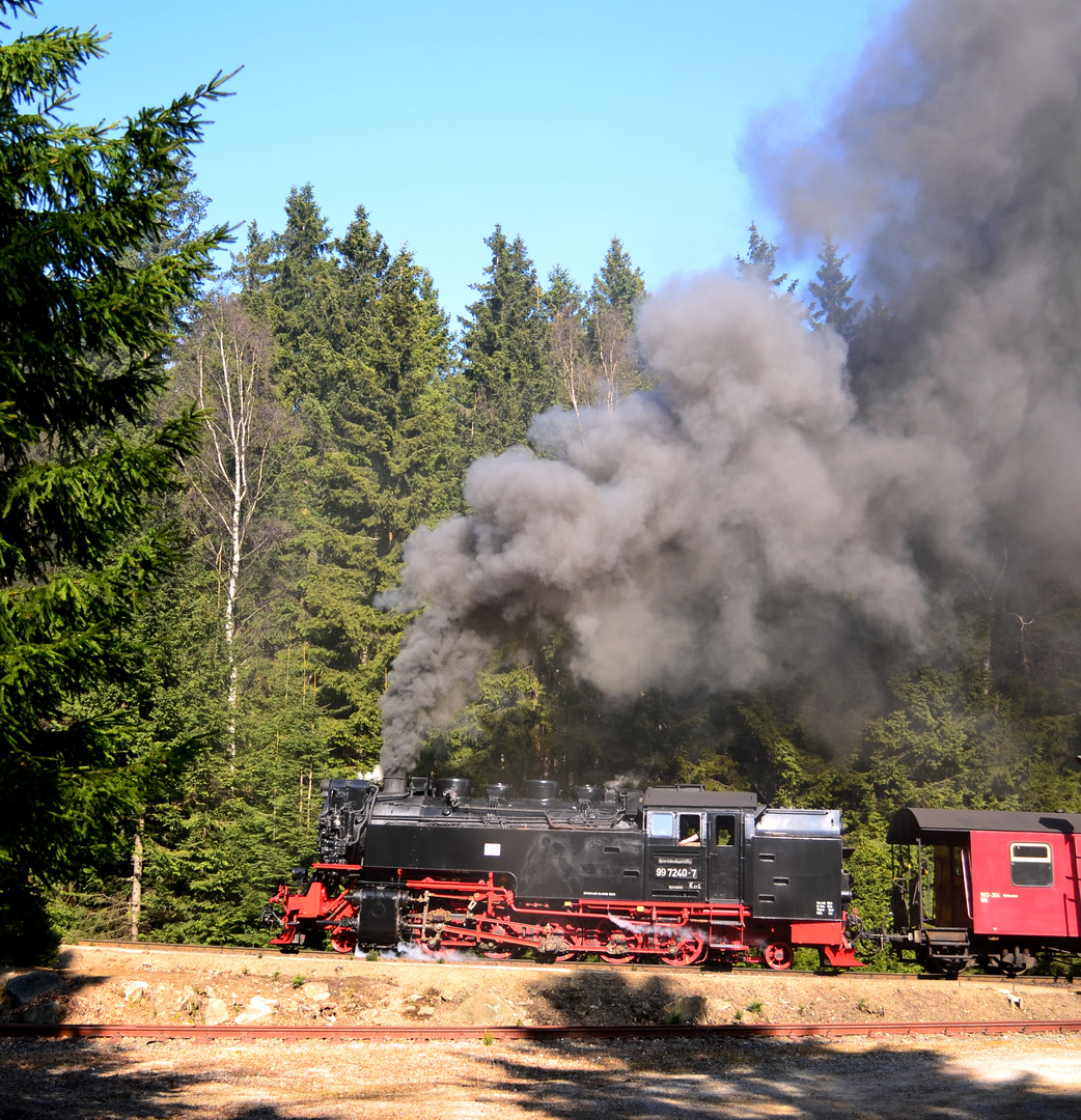 Nach 13 Jahren mal wieder Harz IX