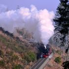 Nach 13 Jahren mal wieder Harz V