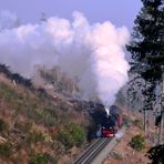 Nach 13 Jahren mal wieder Harz V