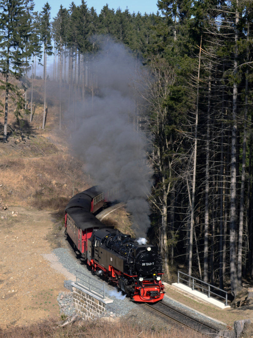 Nach 13 Jahren mal wieder Harz VIII