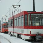 nach 2 Tagen Abstinenz geht es dem Frost an den Leib [2010|01|02]