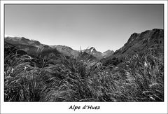 Nach Alpe d'Huez