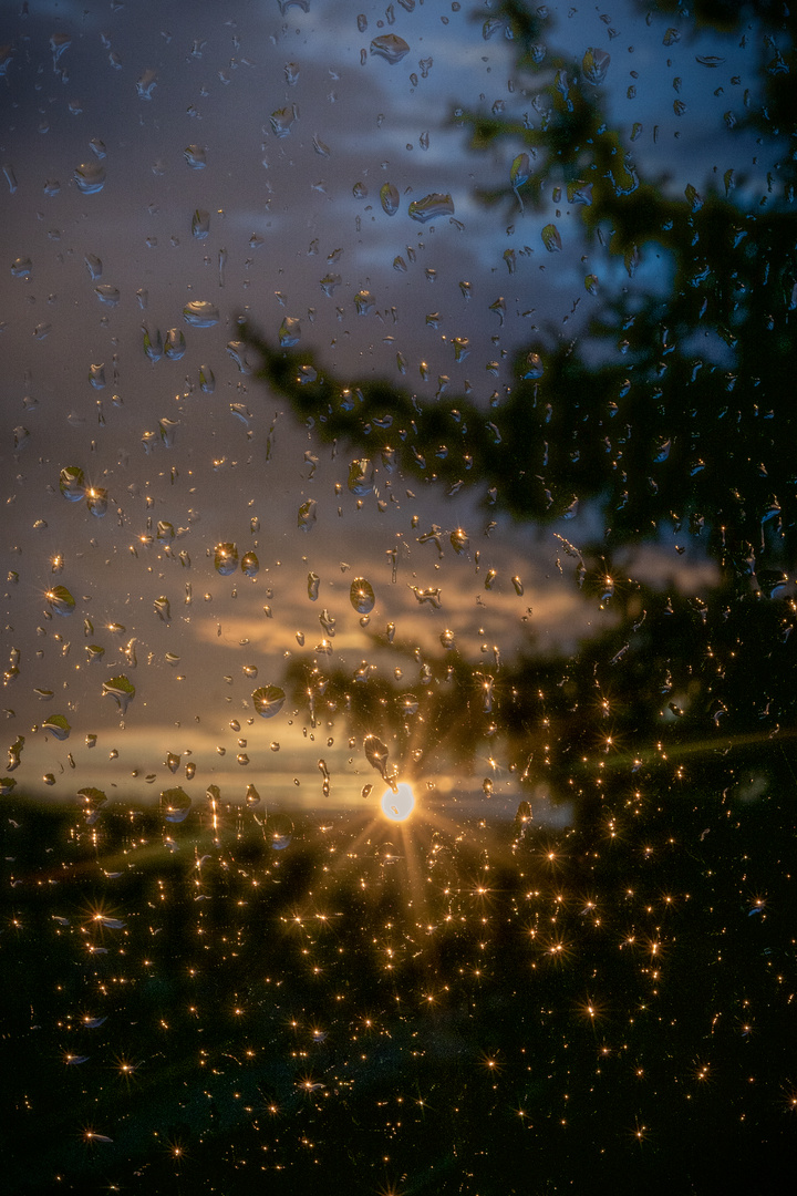 nach dem 1. Mai-Gewitter