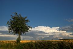 Nach dem Abendgewitter