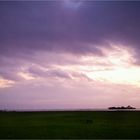 nach dem abendlichen sommergewitter