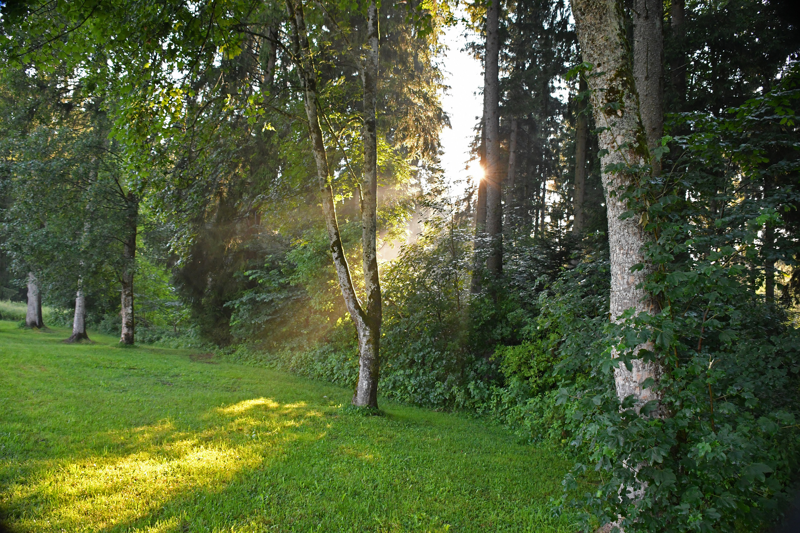 nach dem Abendregen