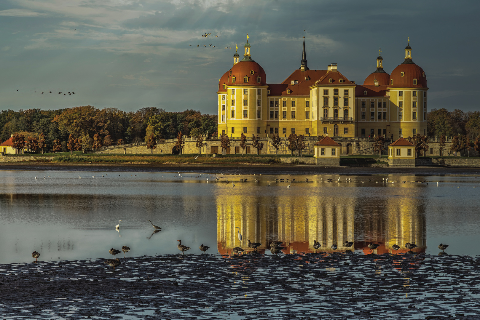  Nach dem Abfischen in Moritzburg.