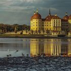  Nach dem Abfischen in Moritzburg.