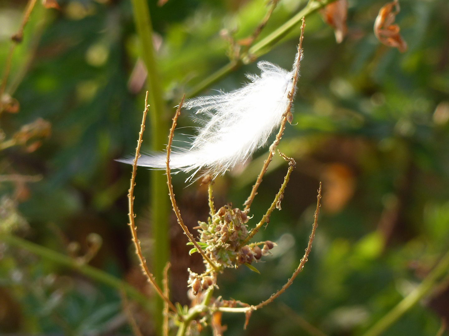 Nach dem Abflug