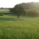 nach dem Aufstieg nach Massebuch