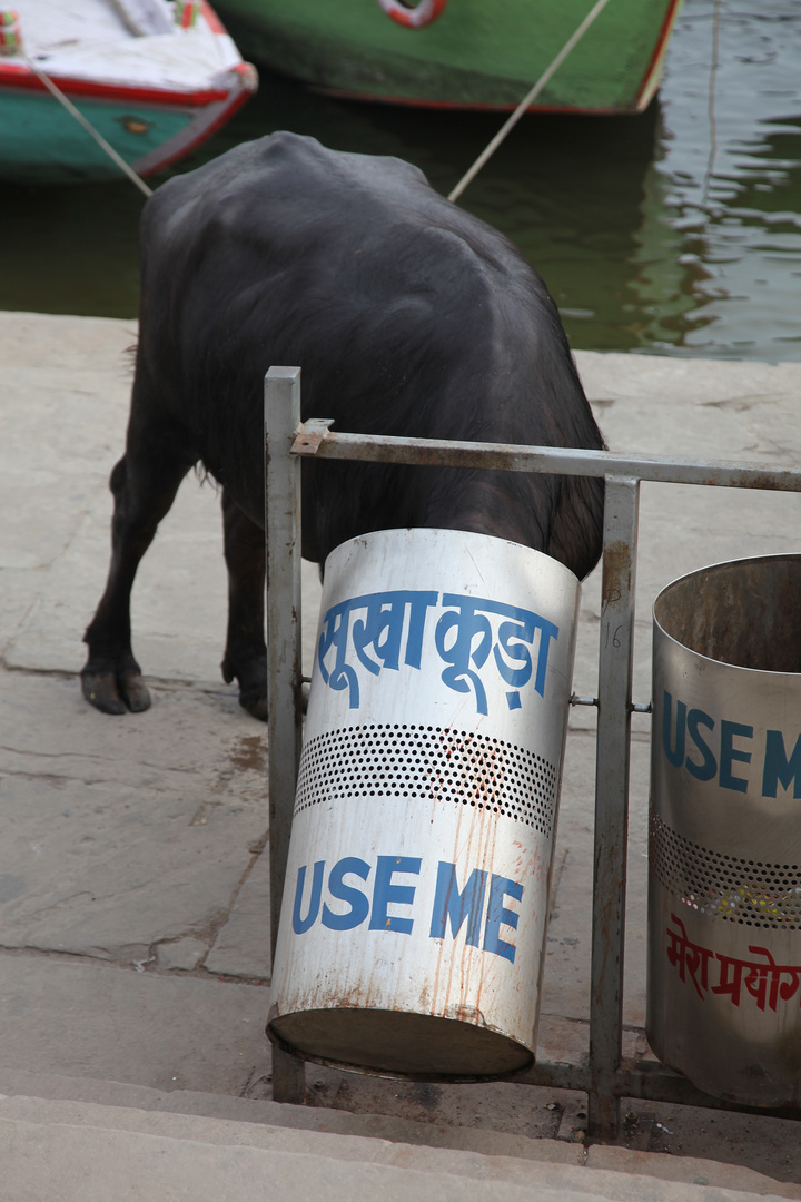 nach dem Bad im Ganges