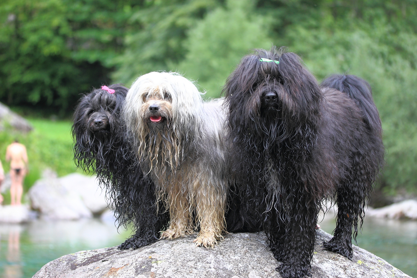 nach dem Bad im Wildbach Bavona