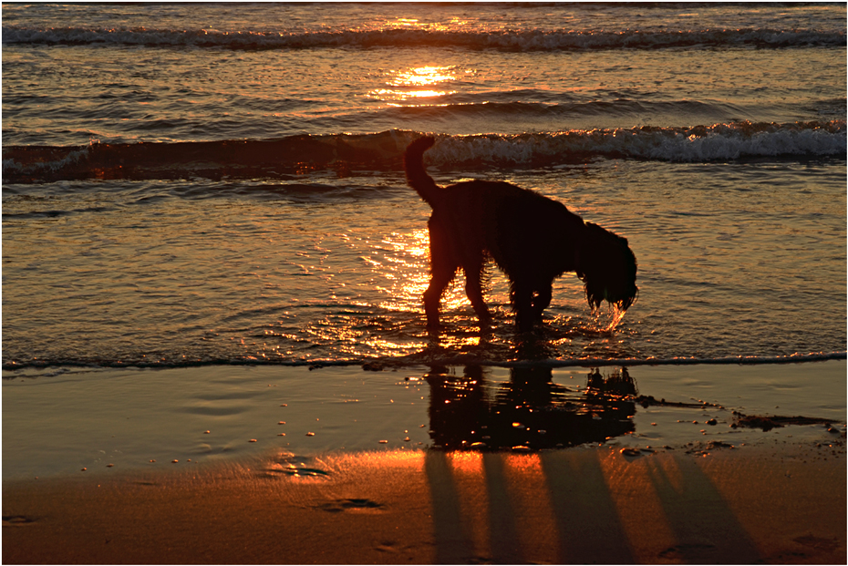 nach dem Bad in der Nordsee