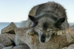Nach dem Bade in der Ostsee